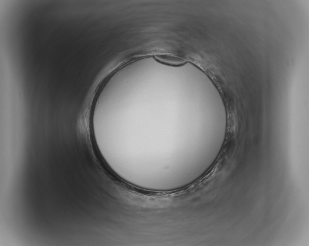 X0000102290004200808081533