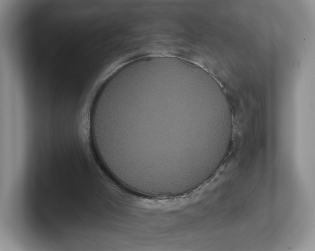 X0000102290005200808081533