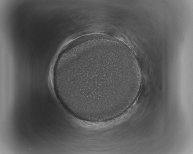 X0000102290006200808081533