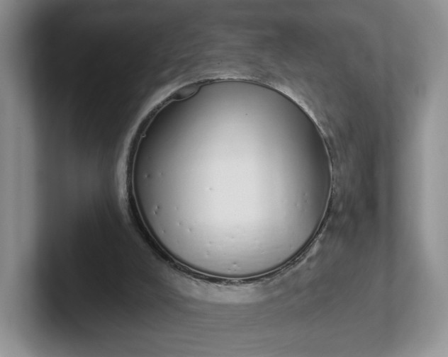 X0000102290008200808081533