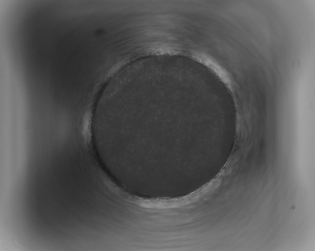 X0000102290009200808081533