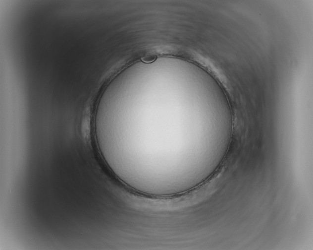 X0000102290010200808081533