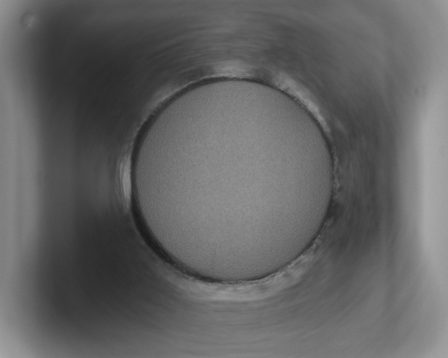 X0000102290011200808081533