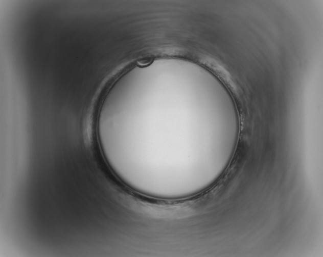 X0000102290012200808081533