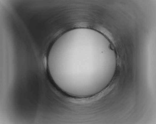 X0000102290013200808081533