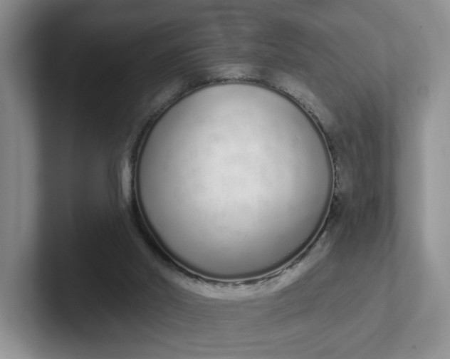 X0000102290014200808081533