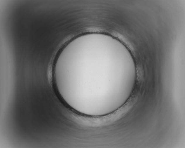 X0000102290015200808081533