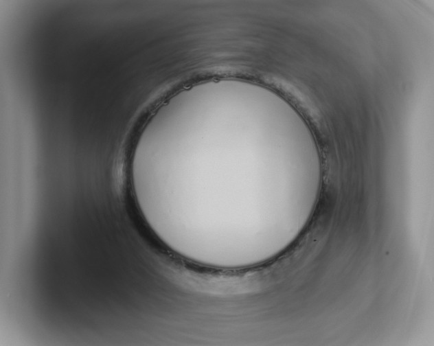 X0000102290016200808081533