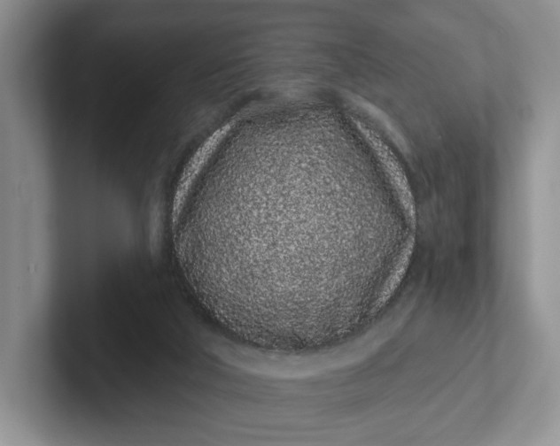 X0000102290018200808081533