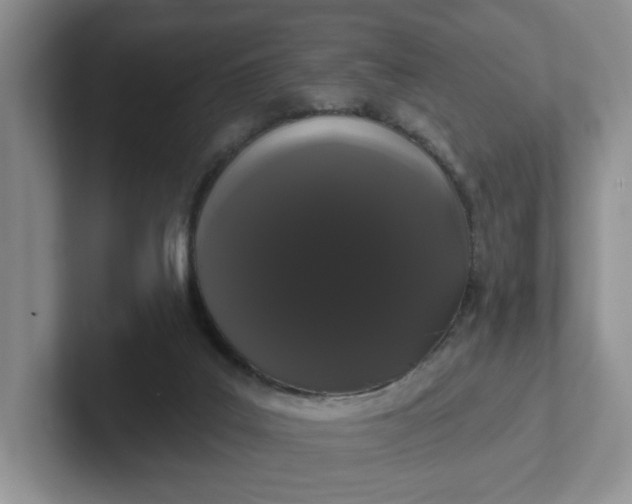 X0000102290019200808081532