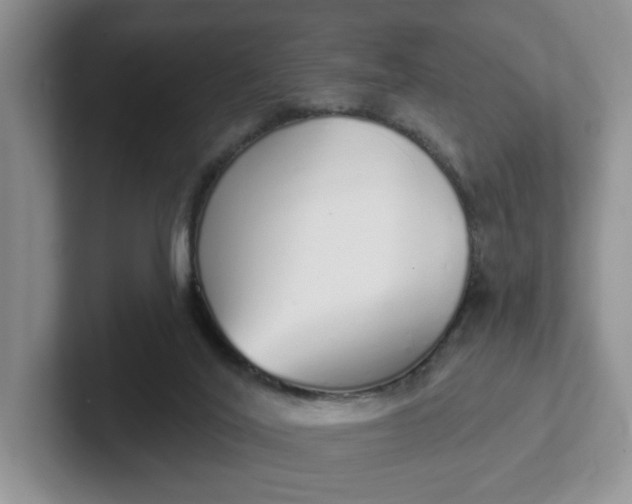 X0000102290020200808081532