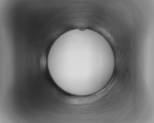 X0000102290021200808081532