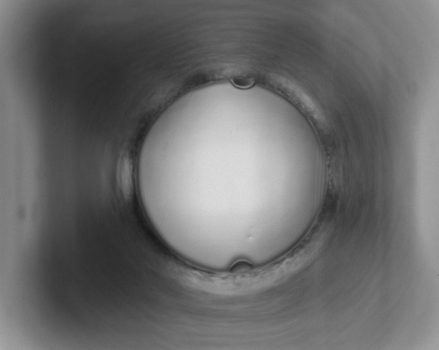 X0000102290022200808081532