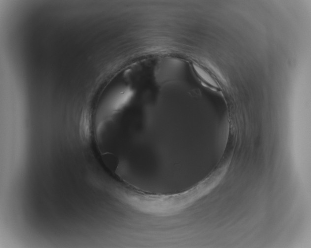 X0000102290023200808081532