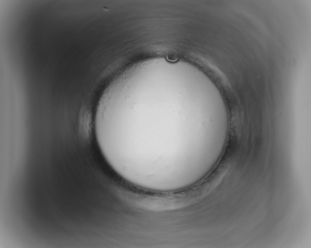 X0000102290024200808081532