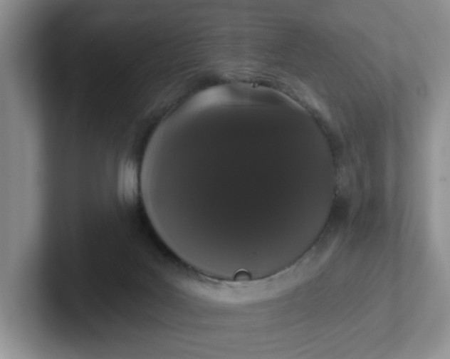 X0000102290027200808081532