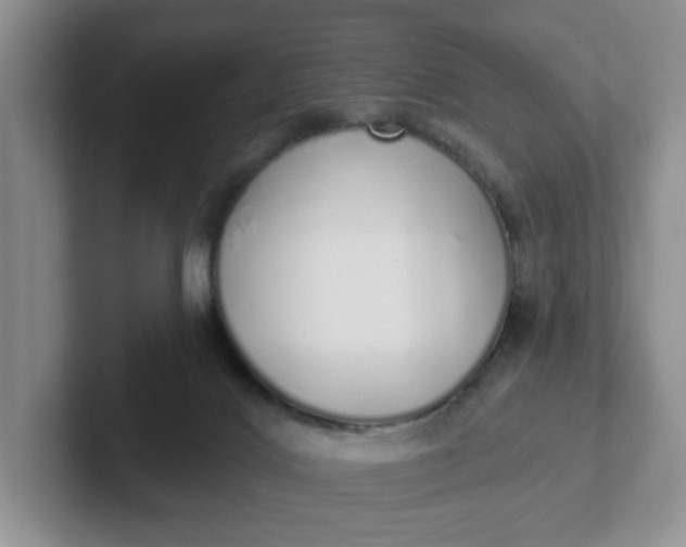 X0000102290028200808081532