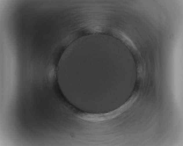 X0000102290029200808081532