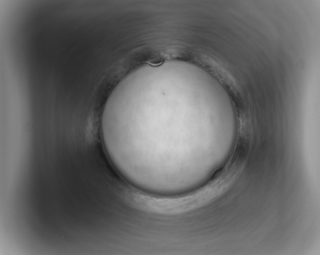 X0000102290030200808081532