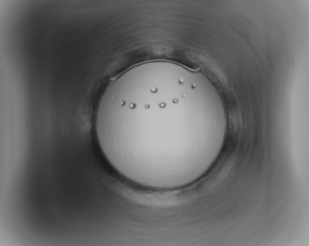 X0000102290032200808081532