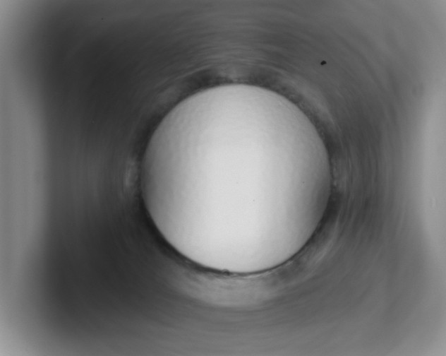 X0000102290036200808081532