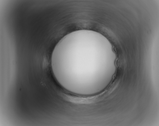 X0000102290040200808081532