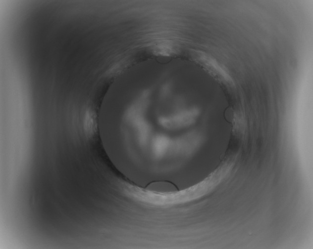 X0000102290043200808081532