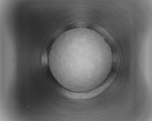 X0000102290046200808081532