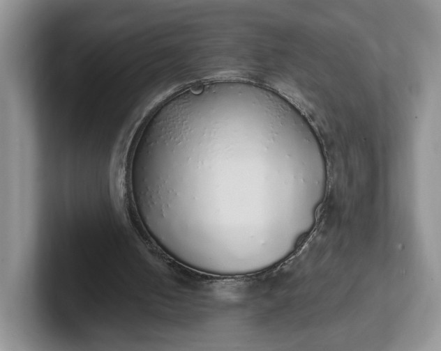 X0000102290050200808081531