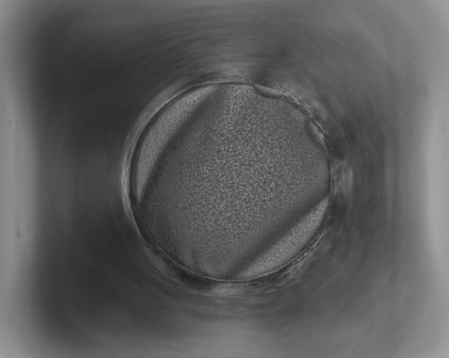 X0000102290051200808081531