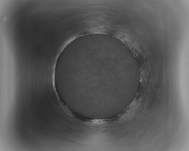 X0000102290052200808081531