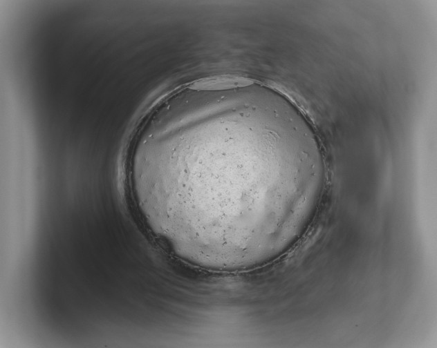 X0000102290053200808081531