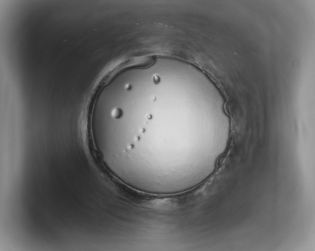 X0000102290054200808081532