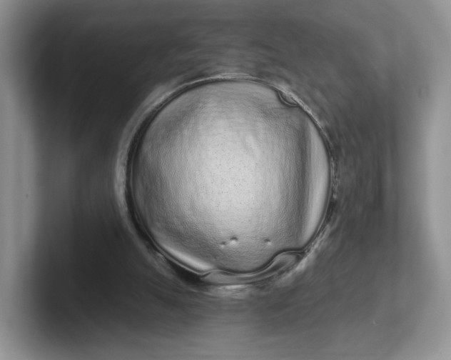 X0000102290055200808081532