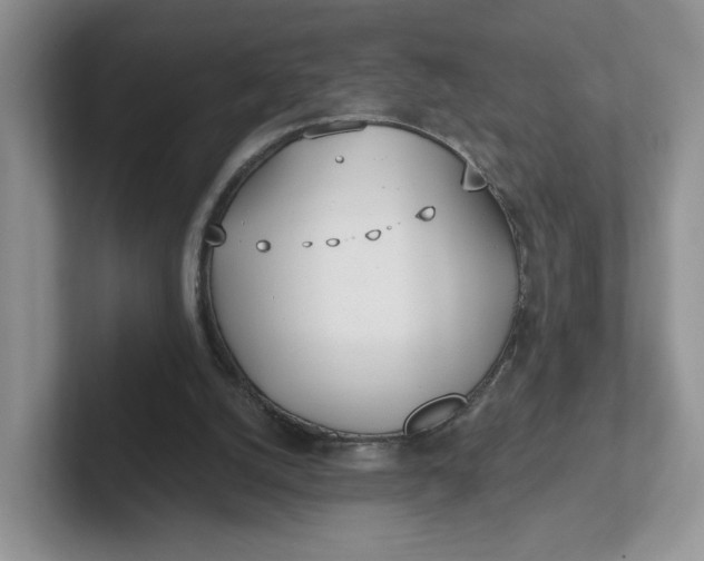 X0000102290056200808081532