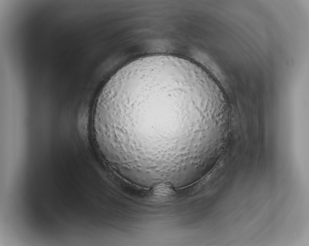 X0000102290058200808081532