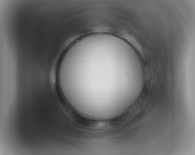 X0000102290060200808081532