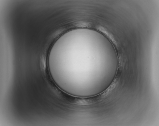 X0000102290062200808081532