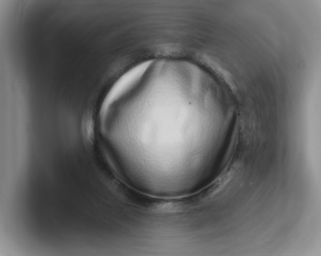 X0000102290067200808081532