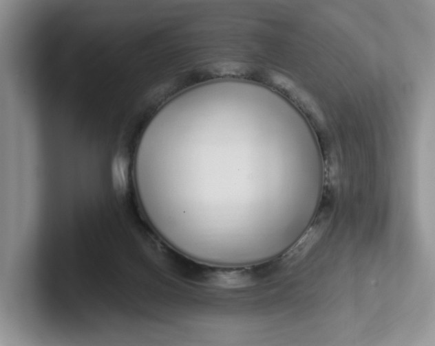 X0000102290070200808081532