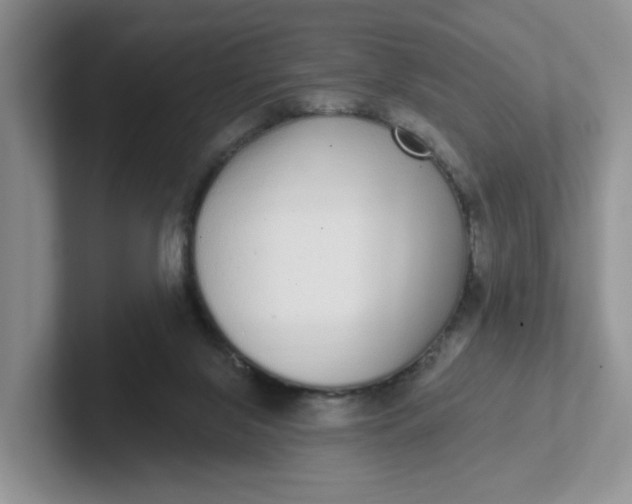 X0000102290071200808081532