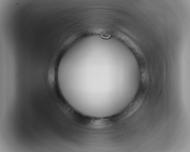 X0000102290072200808081532