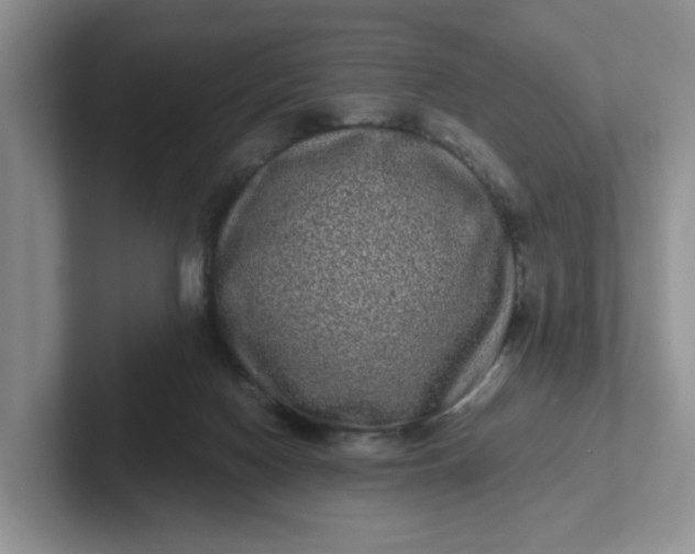 X0000102290074200808081532