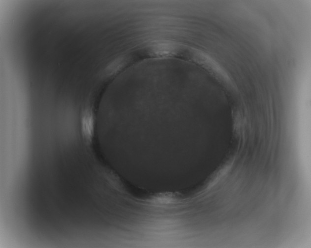 X0000102290076200808081532