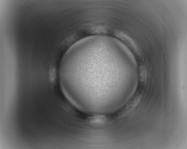 X0000102290077200808081532