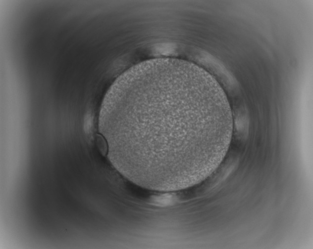 X0000102290079200808081532