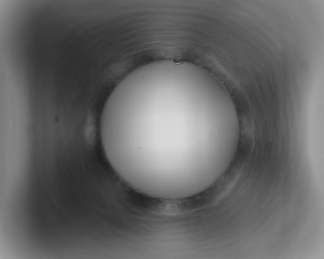 X0000102290080200808081532