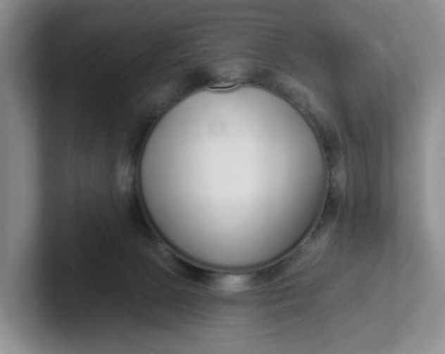 X0000102290081200808081532