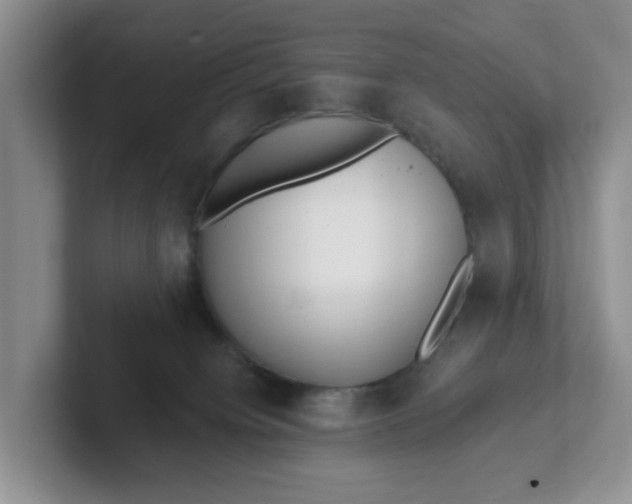 X0000102290084200808081532