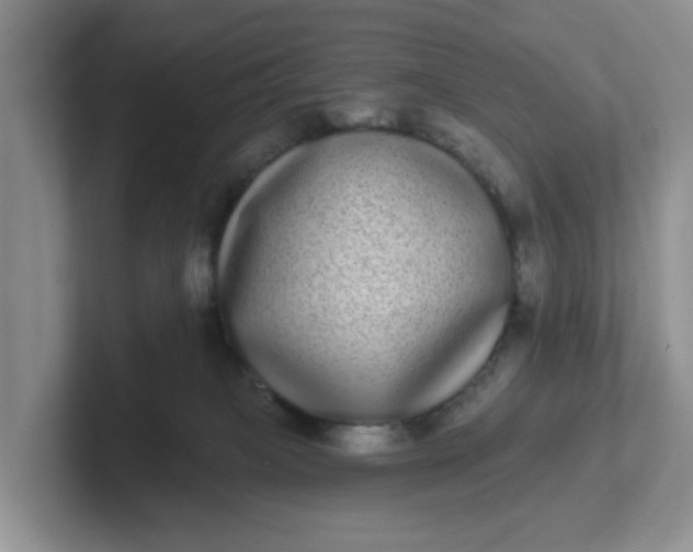 X0000102290085200808081532